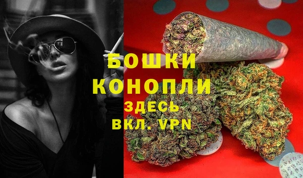амф Аркадак