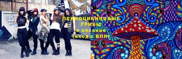 гидропоника Арсеньев