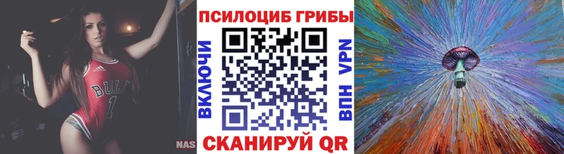 где продают   Армянск  Псилоцибиновые грибы Psilocybine cubensis 